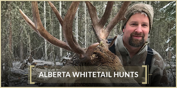 Alberta Whitetail Hunts Interlake Safaris Hunts from the Heart Alberta Whitetail Hunts