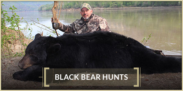 Black Bear Hunts Interlake Safaris Hunts from the Heart Black Bear Hunts