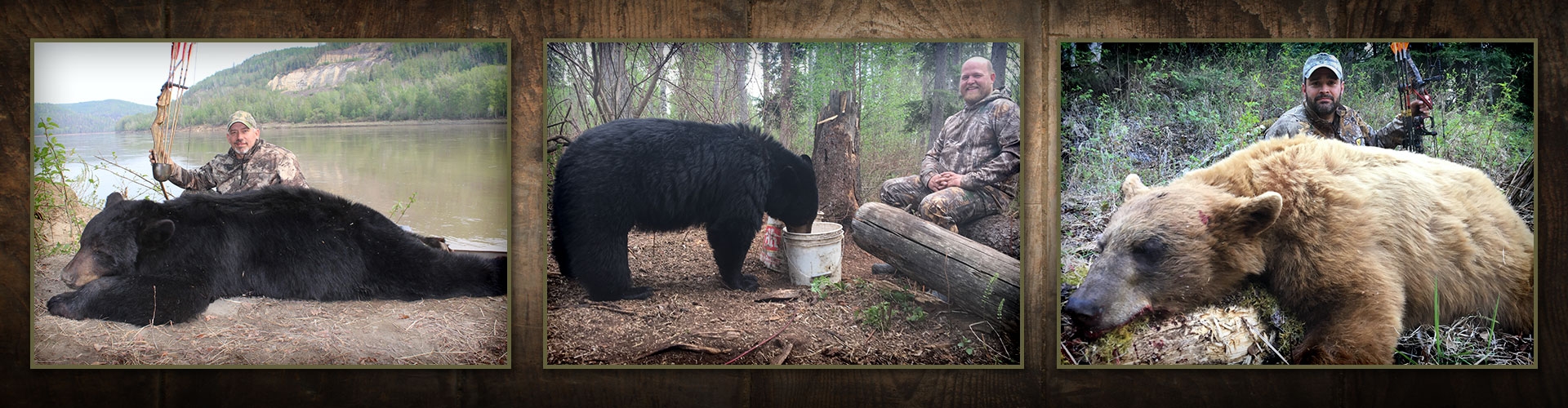 Alberta Black Bear Hunts Alberta Black Bear Hunts