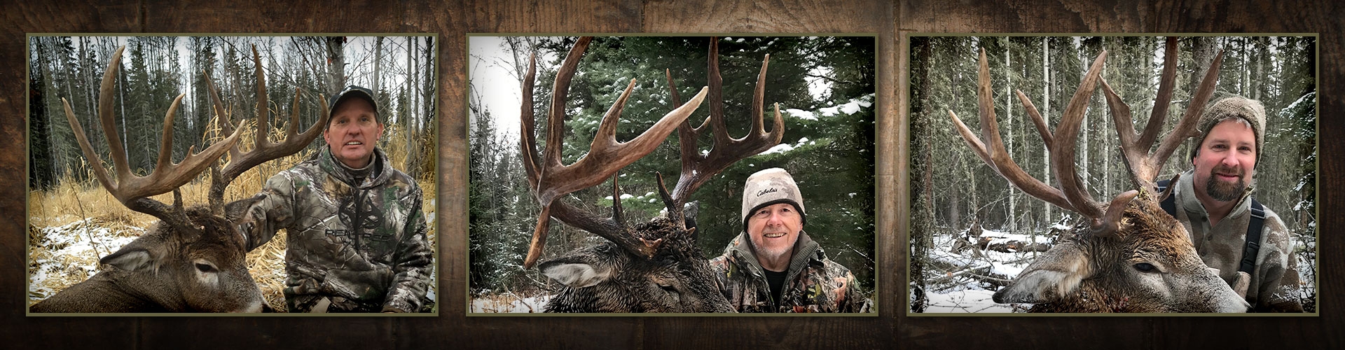 Alberta Whitetail Hunts Alberta Whitetail Hunts