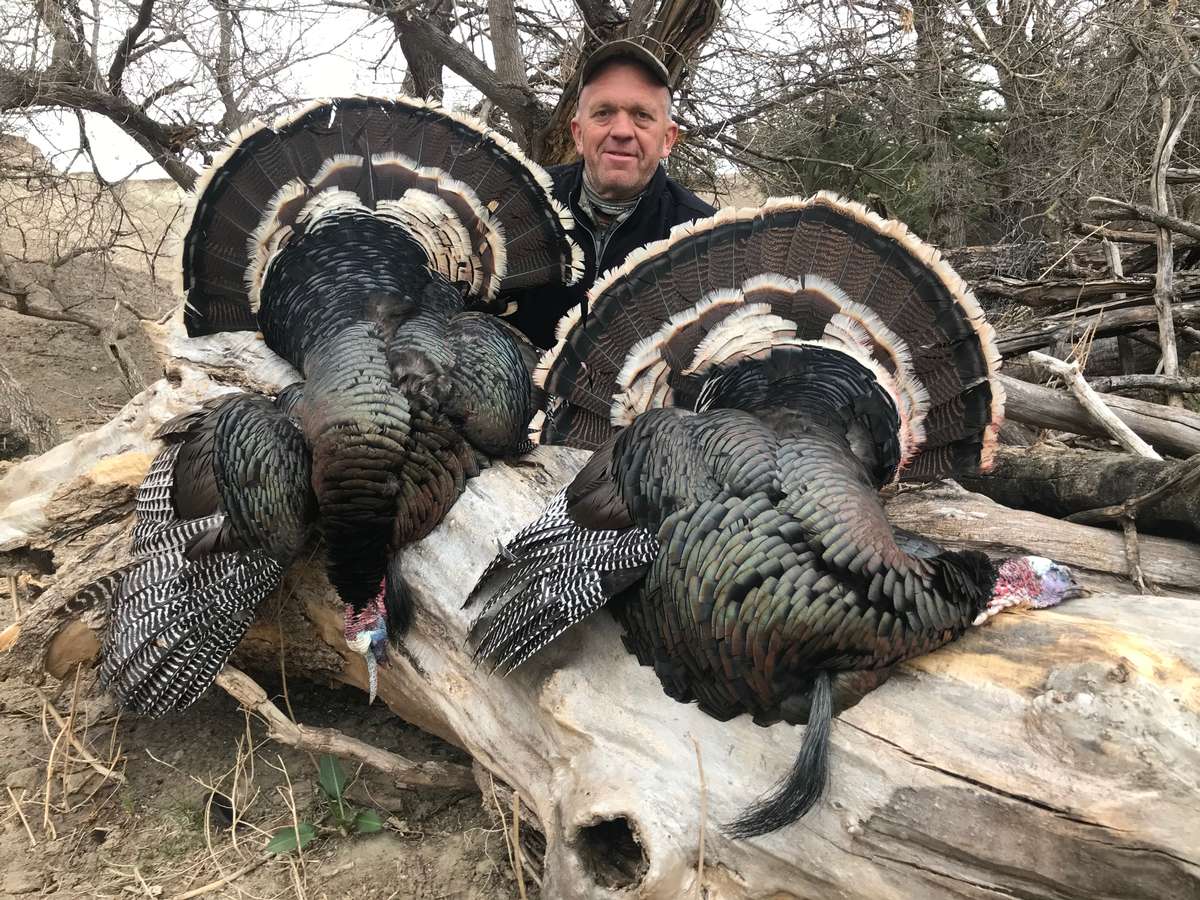 Nathan Somero from New Ipswich, New Hampshire with a double with one arrow. Nebraska Archery Turkey Hunting Trips (4)